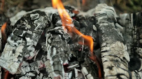 The dying fire Stock Footage 50395349
