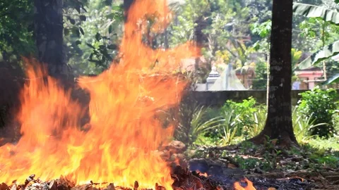 Dying Raging Fire Stockbeeldmateriaal 92219257