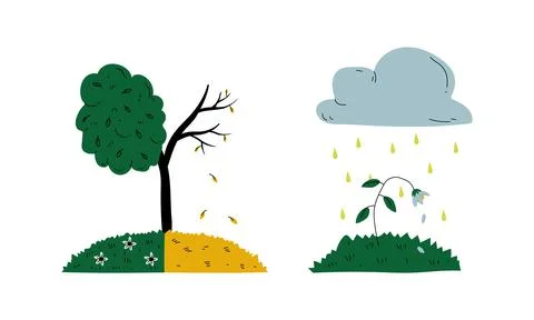 Dying Tree and Flower Because of Toxic Fallout Vector Set Stock Illustration