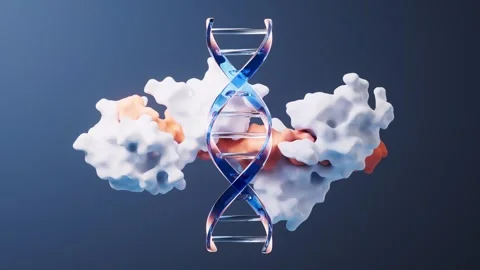 Dynamic 3d animation of dna and protein molecule, scientific visualization .. Stock Footage 328334973