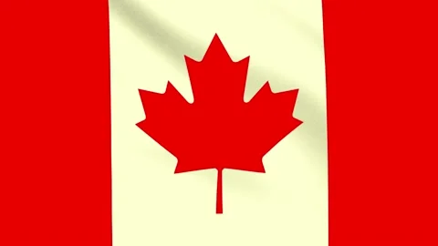 Dynamic 4K Video of the Canadian Flag Waving in Full Color Vídeo Stock 295671441
