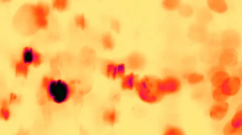 Dynamic abstract background Stock Footage 33764735