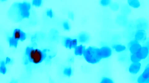 Dynamic abstract background Stock Footage 33764760