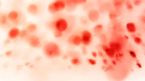 Dynamic abstract background Stock Footage 33764806