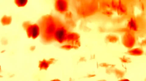 Dynamic abstract background Stock Footage 33764921