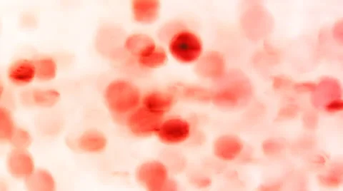 Dynamic abstract background Stock Footage 33765015