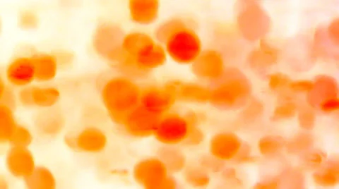 Dynamic abstract background Stock Footage 33765042