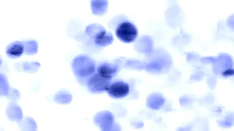 Dynamic abstract background Stock Footage 33765054