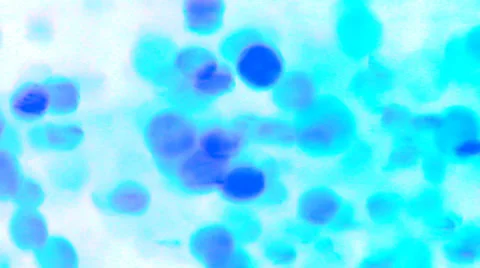 Dynamic abstract background Stock Footage 33765140