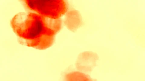 Dynamic abstract background Stock Footage 33765306