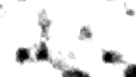 Dynamic Abstract Black and White Ink Flowing Motion Background Loop. Stock Footage 340036279