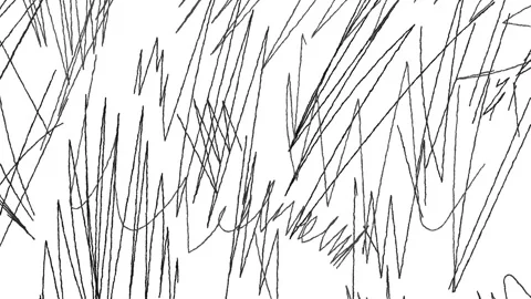 Dynamic Abstract Black Lines on a White Background, Art Video. 4k Texture Loop Stock Footage 303437501