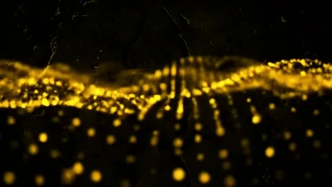 Dynamic abstract golden light particles shimmering against a dark backdrop creat Stock Footage 321395285