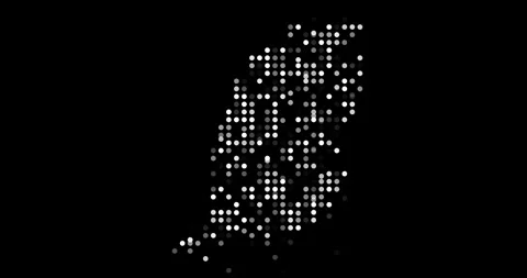 Dynamic Abstract Map of Grenada Forming from Data Particles Stock Footage 320020954