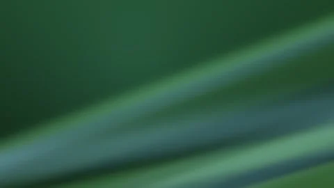 Dynamic abstract motion graphics for creative projects Stock Footage 327946978