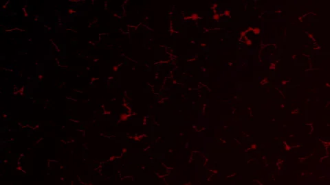 A dynamic abstract pattern featuring red glowing neural-like connections against Stock Footage 287449580