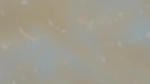 Dynamic abstract visuals create a captivating and futuristic atmosphere Video stock 325772598