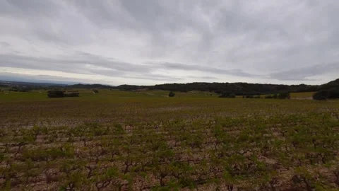 Dynamic aerial drone flight over large vineyards. Stock Footage 256968210