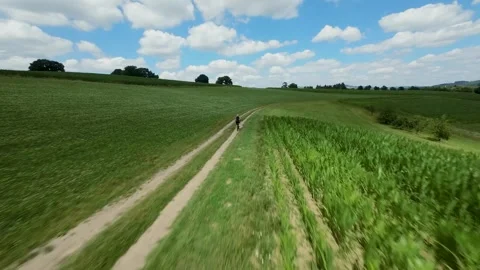 Dynamic aerial footage of jogging Stock Footage 313829406