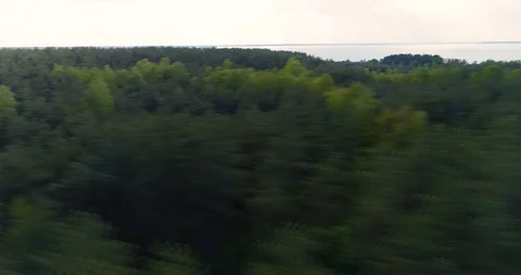 Dynamic aerial over forest and lake Stock Footage 99554427