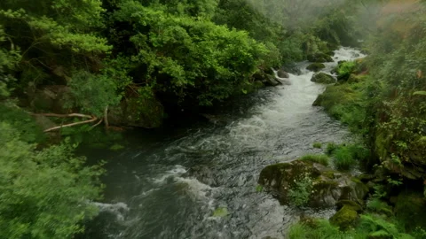 Dynamic aerial perspective of a spirited river rushing through a deep, mist 库存影片 336287049