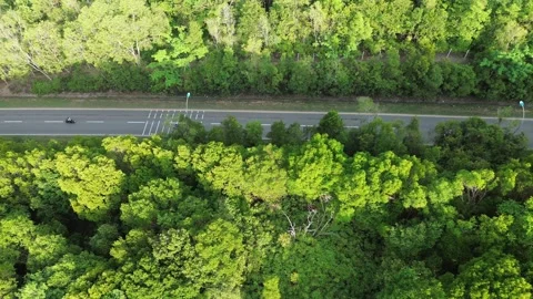 Dynamic Aerial Perspective: Vehicles Navigate a Serene Road Nestled Amidst .. Stock-Footage 326184732