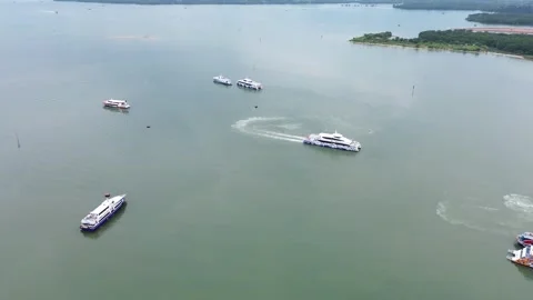 Dynamic Aerial Perspectives of Multiple Passenger Ships Navigating the Expansion 動画素材 319608108