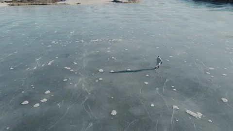 Dynamic aerial shot of man skating on a frozen lake on a sunny winter day Video stock 170160891
