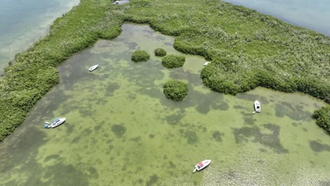 Dynamic Aerial of Tiny Cove with Boats, Wetlands, and Manatee Bay in the Florida Video stock 277106687