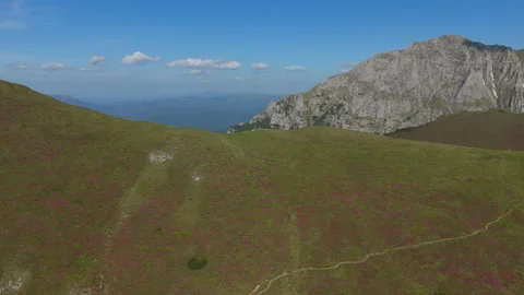 Dynamic aerial tracking shot parallel to blooming Mount Tiganesti slopes co.. Stock-Footage 331580413