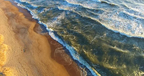 Dynamic aerial view from a top moving along golden seashore - 018 Vídeo Stock 128576338