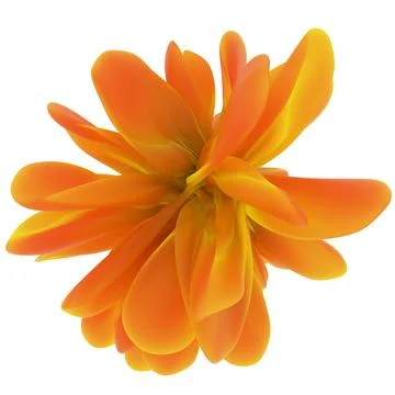 Dynamic amber orange abstract flower shape rendered in 3D on a plain white ba 库存插图