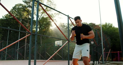 Dynamic and Engaging Boxer Training Session Conducted on an Outdoor Court Video stock 317837462