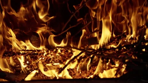 A dynamic and intense close-up sequence captures the energetic movement and Stock Footage 312509743