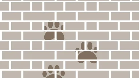 A dynamic animated background featuring dog paw prints scattered across a b.. Stock Footage 340538004