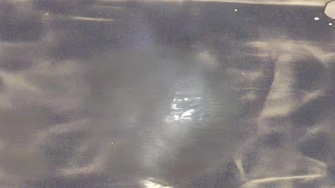 Dynamic Animated Grunge Texture Layer Stock Footage 300990622