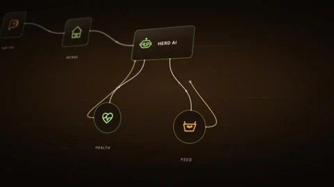 Dynamic Animation of AI Workflow in Farming Visualizing the Process from Ear Tag Stock Footage 340440846