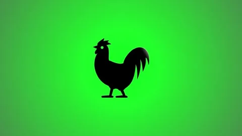 A dynamic animation reveals a sleek rooster silhouette, a bold and simple v.. Stock Footage 346490908