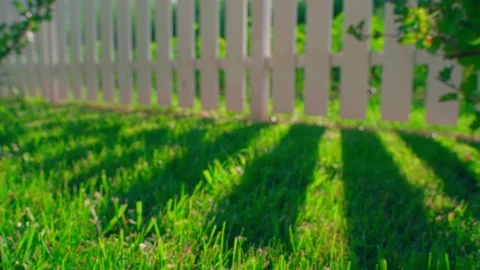 Dynamic background, green grass with sun rays and shadows from the fence, close Stock Footage 284238748