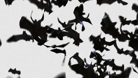 Dynamic Bat Crowds Alpha Overlay Stock Footage 316374165