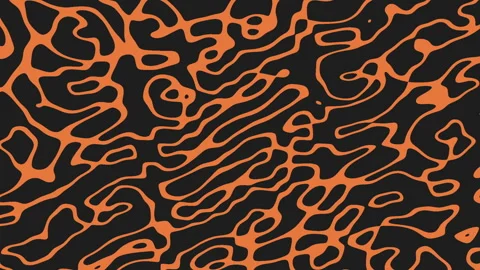 Dynamic black and orange abstract pattern with flowing lines and shapes Stock Footage 311609119
