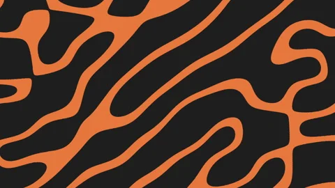 Dynamic black and orange zigzag striped zebra pattern Stock Footage 323435104