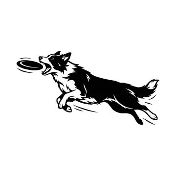 Dynamic black and white illustration of a dog midair catching a flying disc.. Stock Illustration