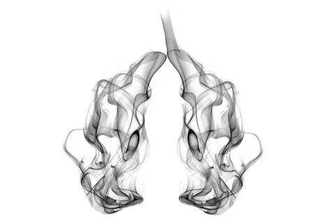 Dynamic Black Smoke Lungs Shape on White Background 스톡 사진