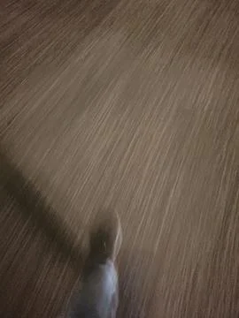Dynamic blurred view of feet walking on a wooden floor Stock Photos