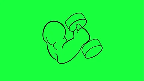 Dynamic boxing animation with green screen background Stock Footage 331505789