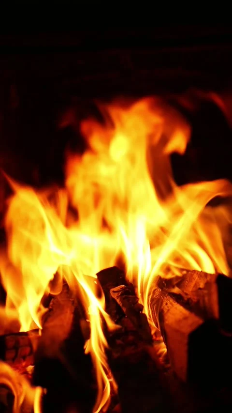 Dynamic burning logs with vivid flame movement Видео 318170514