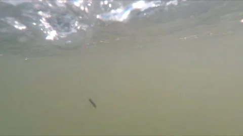 Dynamic camera movement on a mountain river. Immersion under water. Imitation of Video stock 164373394