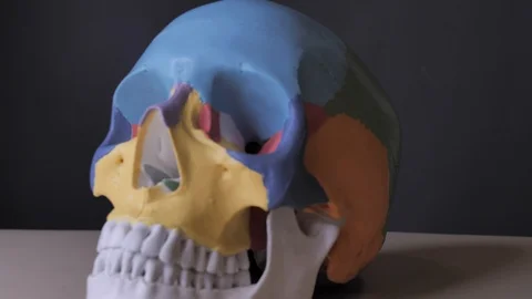 Dynamic camera shot, close-up of the human skull anatomy. Gray background Stock Footage 122569364