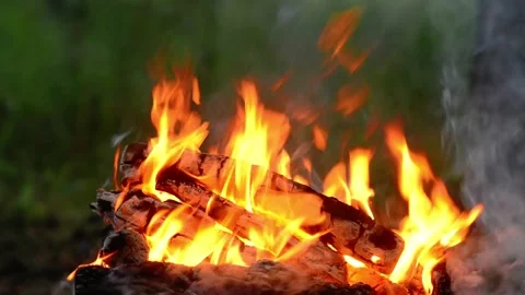 Dynamic Campfire Flames and Smoke in Forest Stock Footage 342120631